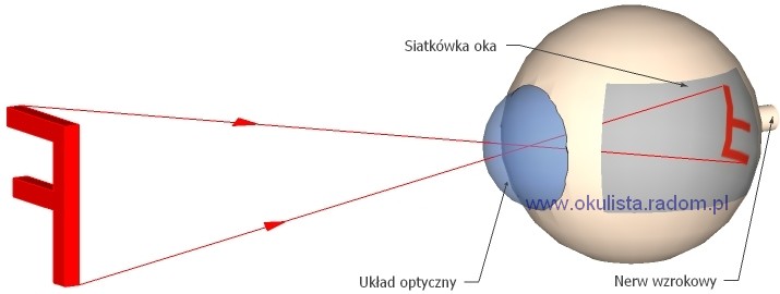 Obraz w oku - najprostszy schemat - Okulista Radom PL