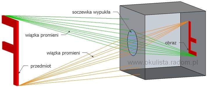 znaczenie soczewki - Okulista Radom PL